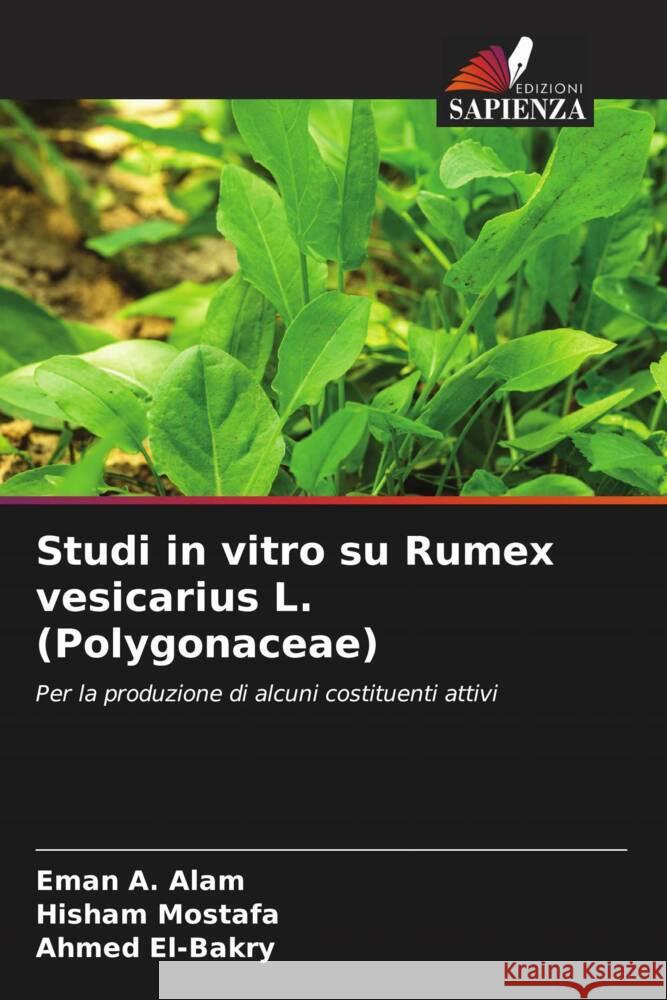 Studi in vitro su Rumex vesicarius L. (Polygonaceae) Alam, Eman A., Mostafa, Hisham, El-Bakry, Ahmed 9786206420088