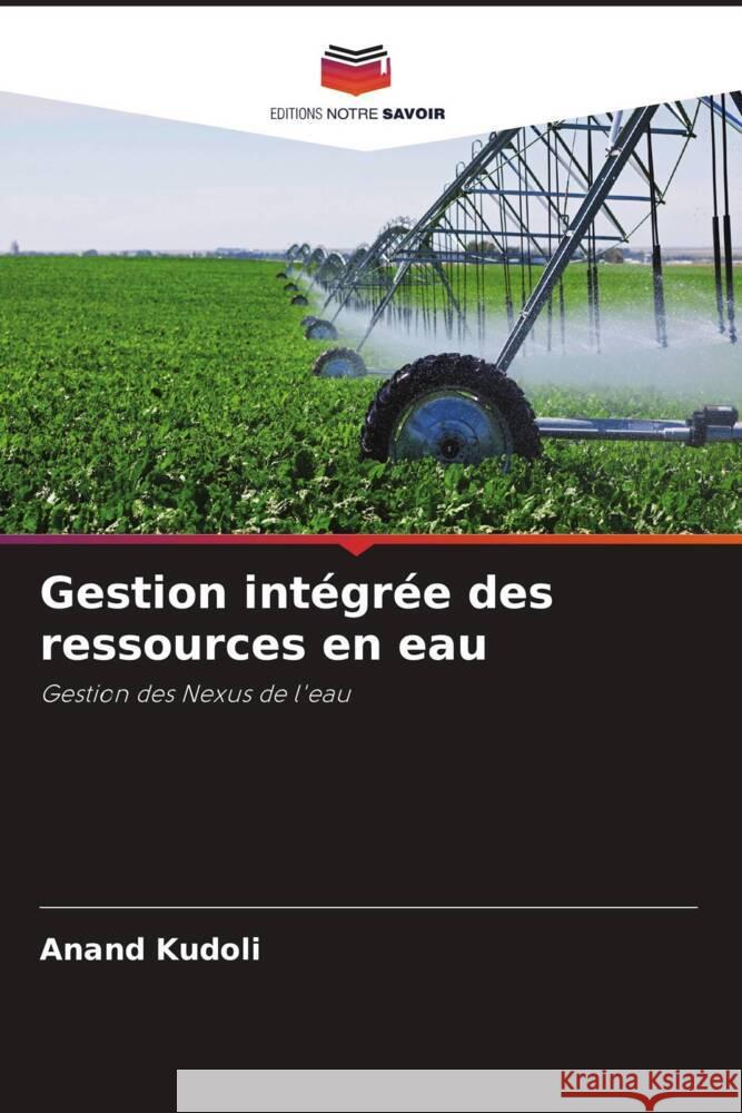 Gestion intégrée des ressources en eau Kudoli, Anand 9786206425564