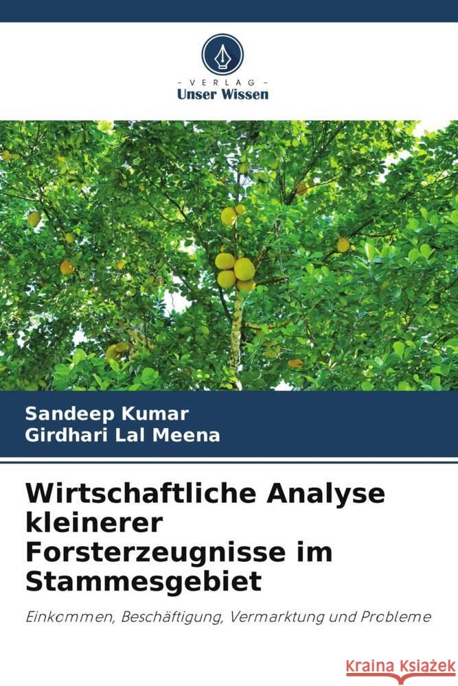 Wirtschaftliche Analyse kleinerer Forsterzeugnisse im Stammesgebiet Kumar, Sandeep, Meena, Girdhari Lal 9786206438366 Verlag Unser Wissen