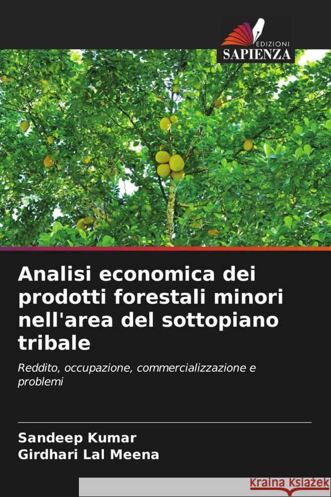 Analisi economica dei prodotti forestali minori nell'area del sottopiano tribale Kumar, Sandeep, Meena, Girdhari Lal 9786206438397 Edizioni Sapienza