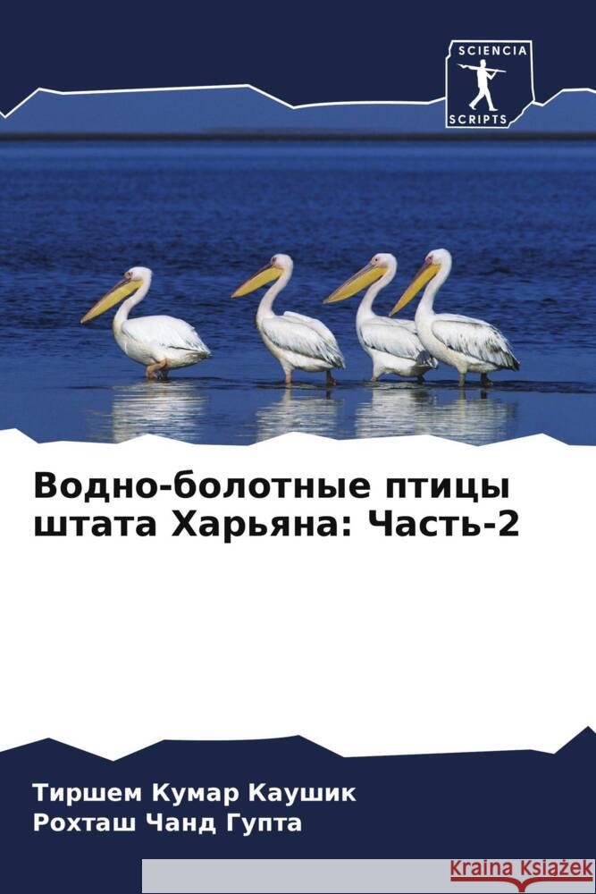 Vodno-bolotnye pticy shtata Har'qna: Chast'-2 Kaushik, Tirshem Kumar, Gupta, Rohtash Chand 9786206448273