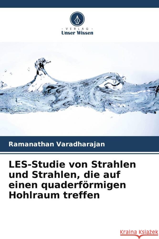 LES-Studie von Strahlen und Strahlen, die auf einen quaderförmigen Hohlraum treffen Varadharajan, Ramanathan 9786206448341