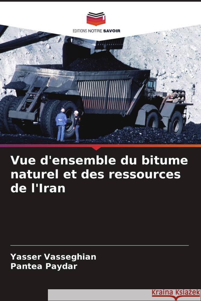 Vue d'ensemble du bitume naturel et des ressources de l'Iran Vasseghian, Yasser, Paydar, Pantea 9786206449249