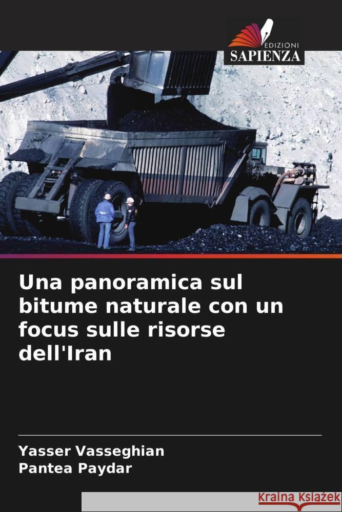 Una panoramica sul bitume naturale con un focus sulle risorse dell'Iran Vasseghian, Yasser, Paydar, Pantea 9786206449256