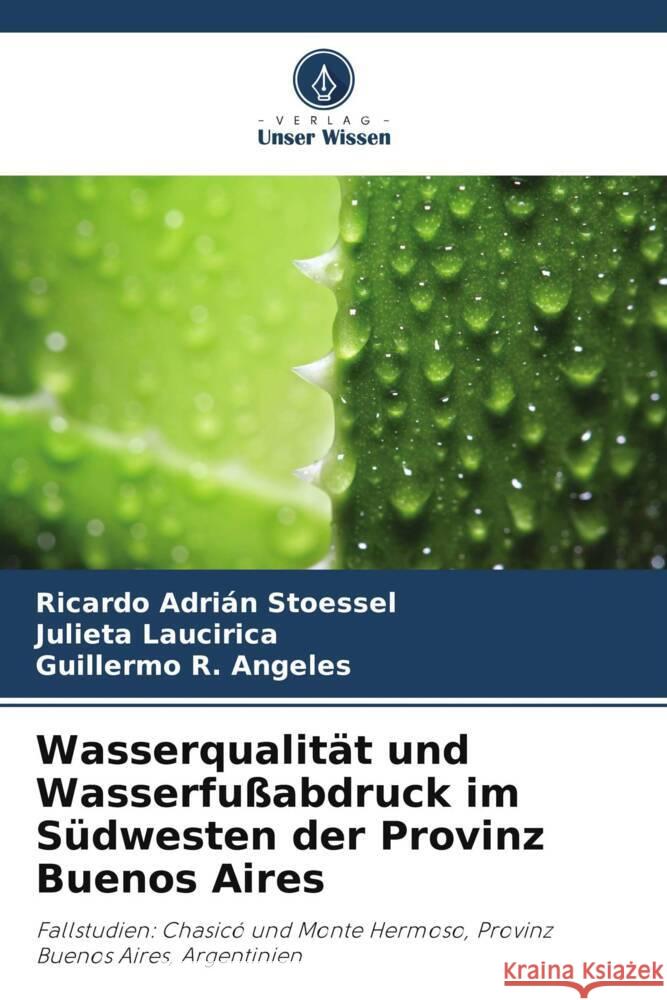 Wasserqualität und Wasserfußabdruck im Südwesten der Provinz Buenos Aires Stoessel, Ricardo Adrián, Laucirica, Julieta, Angeles, Guillermo R. 9786206451730