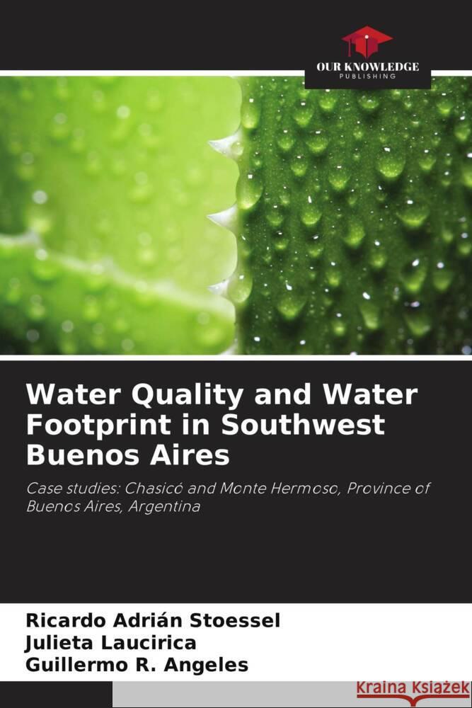 Water Quality and Water Footprint in Southwest Buenos Aires Stoessel, Ricardo Adrián, Laucirica, Julieta, Angeles, Guillermo R. 9786206451754 Our Knowledge Publishing