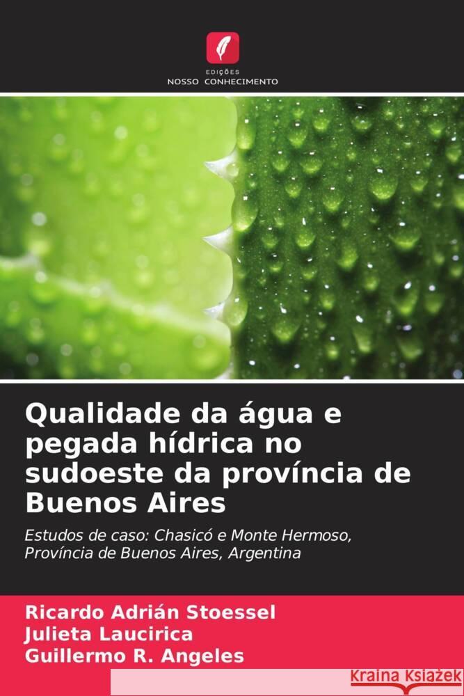 Qualidade da água e pegada hídrica no sudoeste da província de Buenos Aires Stoessel, Ricardo Adrián, Laucirica, Julieta, Angeles, Guillermo R. 9786206451778 Edições Nosso Conhecimento