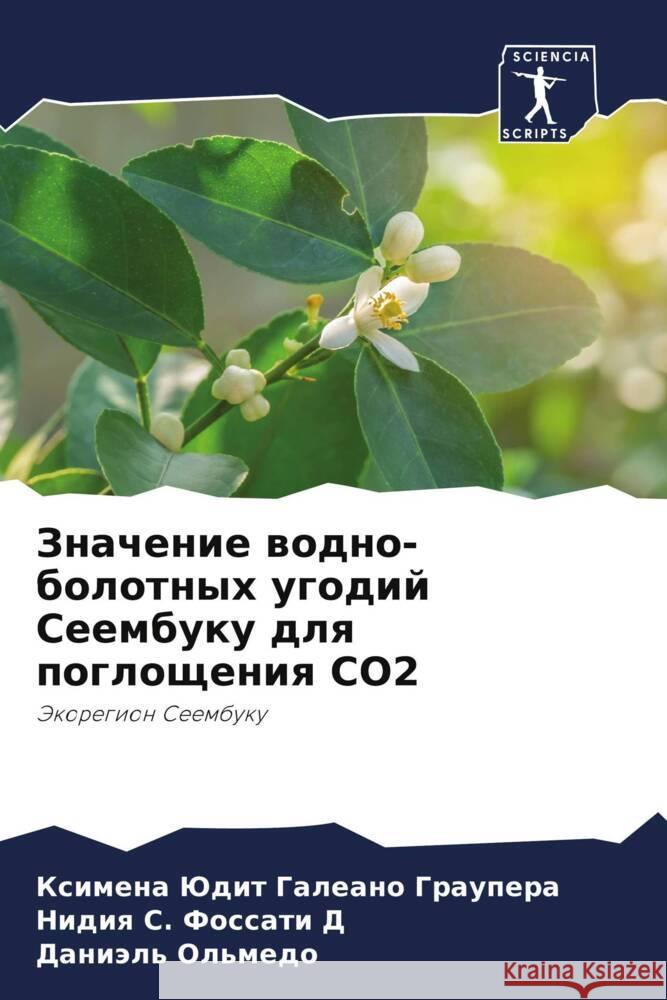 Znachenie wodno-bolotnyh ugodij Seembuku dlq pogloscheniq CO2 Galeano Graupera, Ximena Judit, Fossati D, Nidiq S., Ol'medo, Daniäl' 9786206455189 Sciencia Scripts