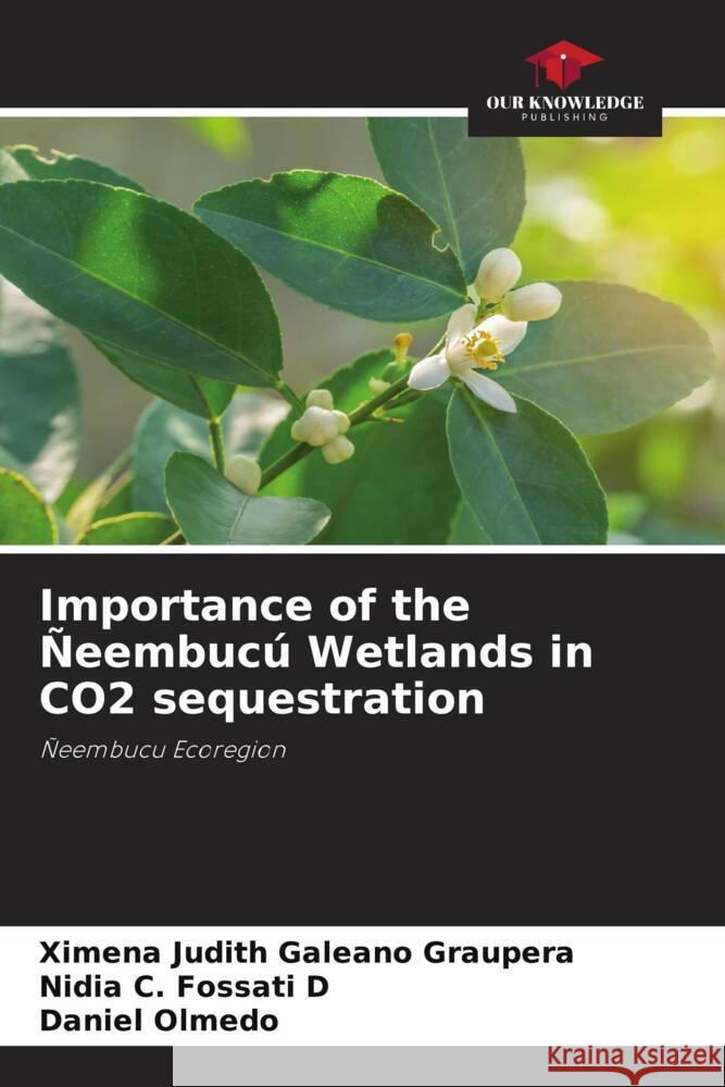 Importance of the Ñeembucú Wetlands in CO2 sequestration Galeano Graupera, Ximena Judith, Fossati D, Nidia C., Olmedo, Daniel 9786206455196