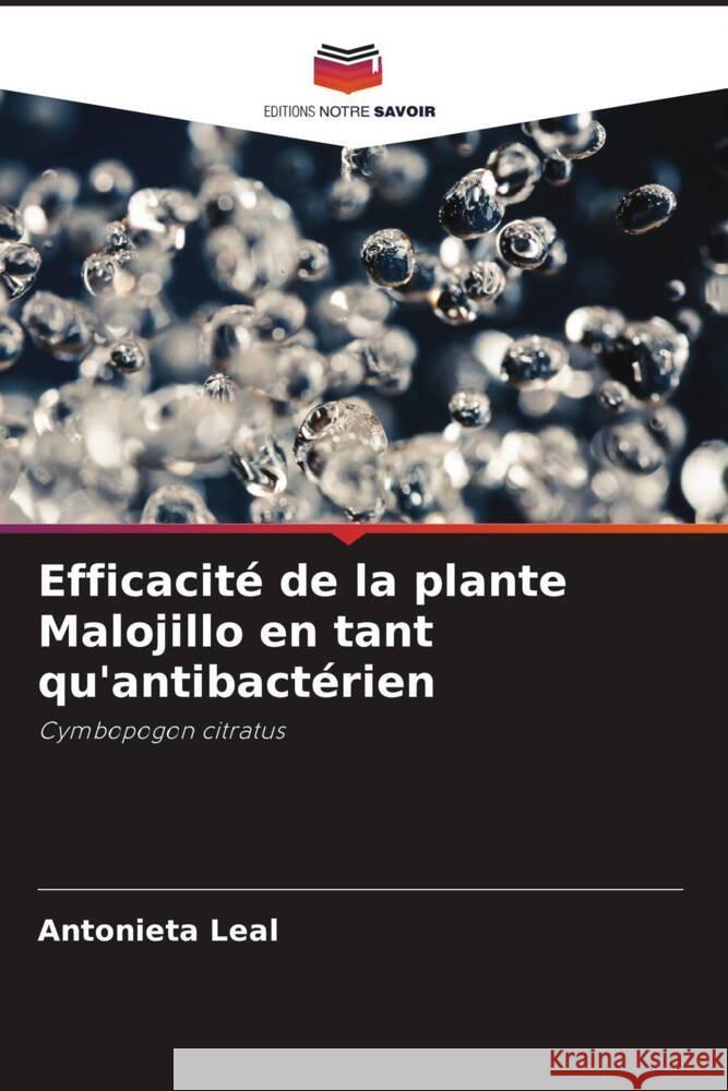 Efficacité de la plante Malojillo en tant qu'antibactérien Leal, Antonieta 9786206455240
