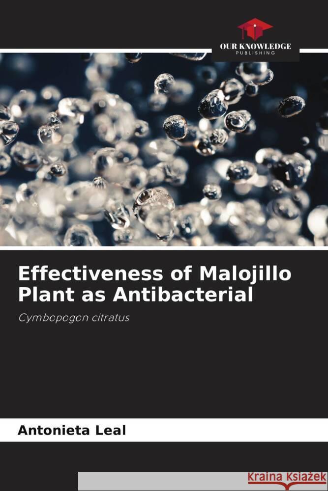 Effectiveness of Malojillo Plant as Antibacterial Leal, Antonieta 9786206455257