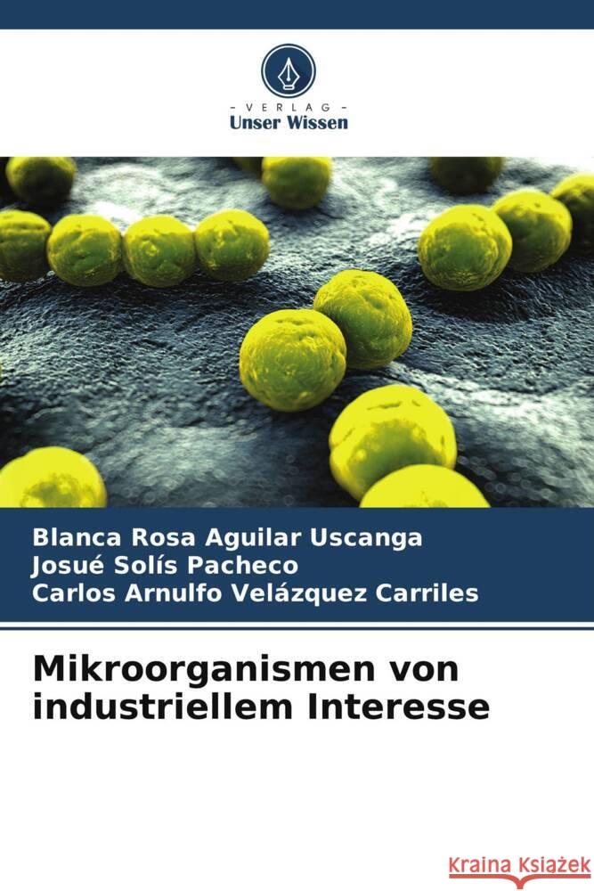 Mikroorganismen von industriellem Interesse Aguilar Uscanga, Blanca Rosa, Solís Pacheco, Josué, Velázquez Carriles, Carlos Arnulfo 9786206461531