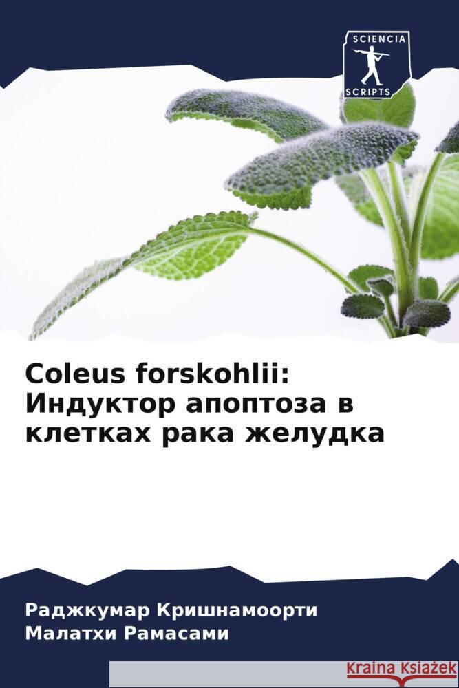 Coleus forskohlii: Induktor apoptoza w kletkah raka zheludka Krishnamoorti, Radzhkumar, Ramasami, Malathi 9786206464808