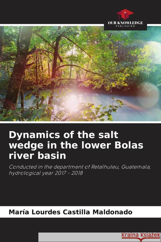 Dynamics of the salt wedge in the lower Bolas river basin Castilla Maldonado, María Lourdes 9786206467762