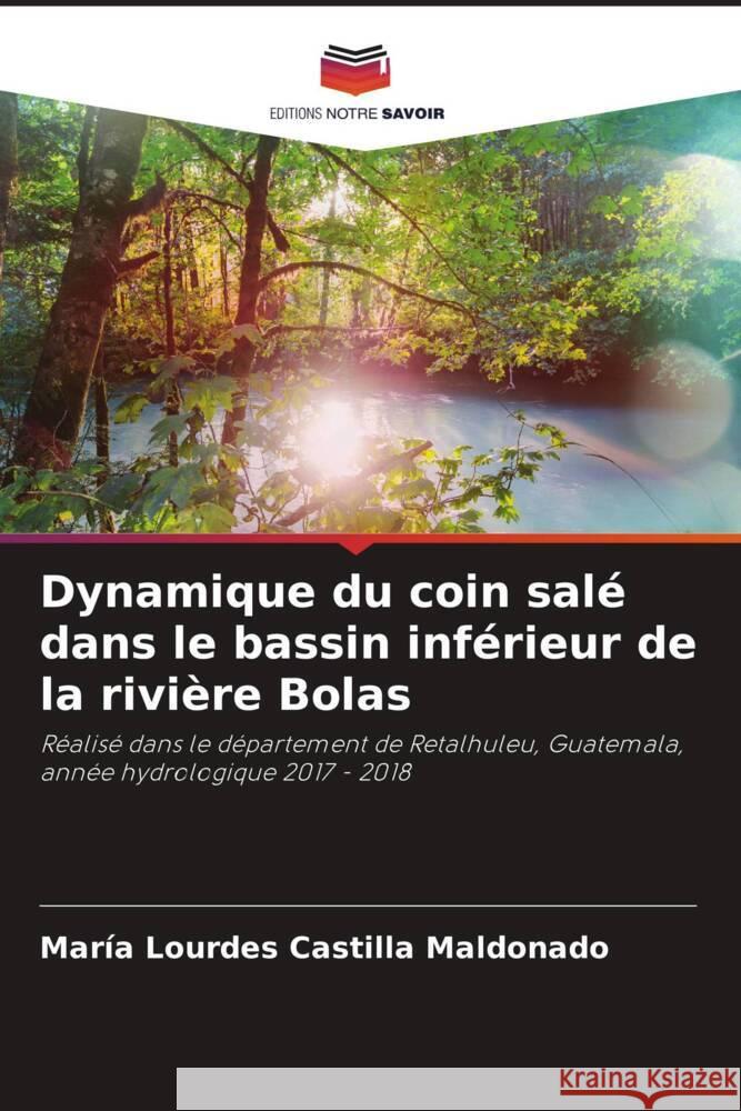 Dynamique du coin salé dans le bassin inférieur de la rivière Bolas Castilla Maldonado, María Lourdes 9786206467779