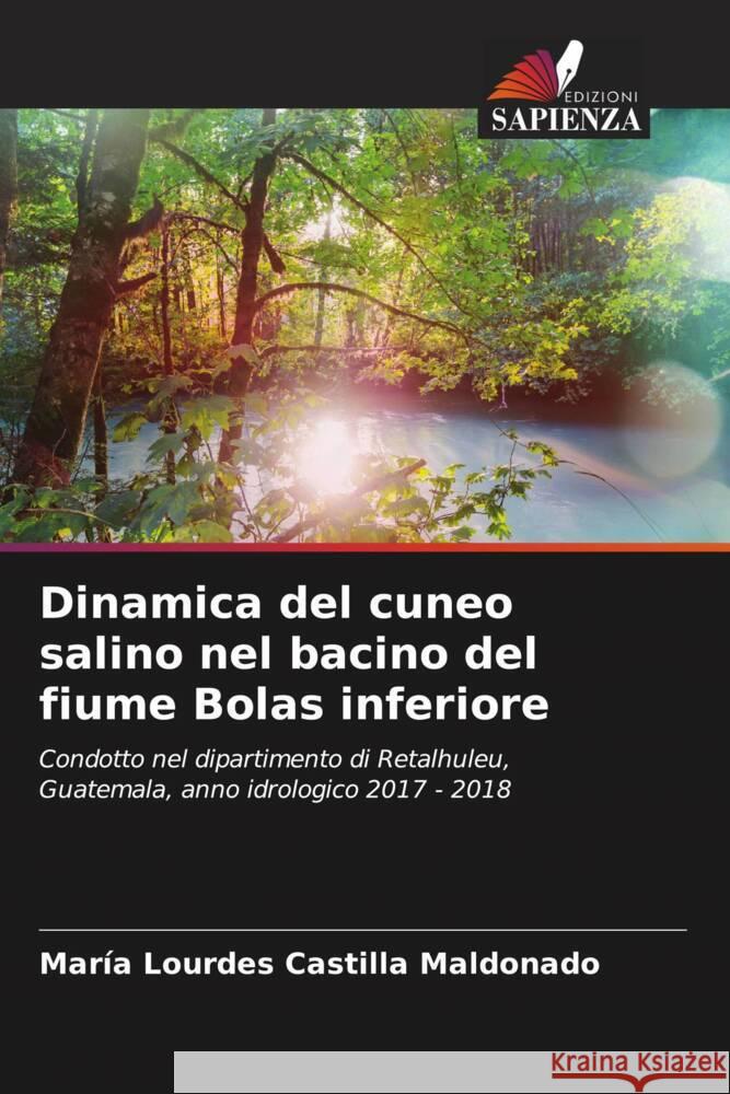 Dinamica del cuneo salino nel bacino del fiume Bolas inferiore Castilla Maldonado, María Lourdes 9786206467816