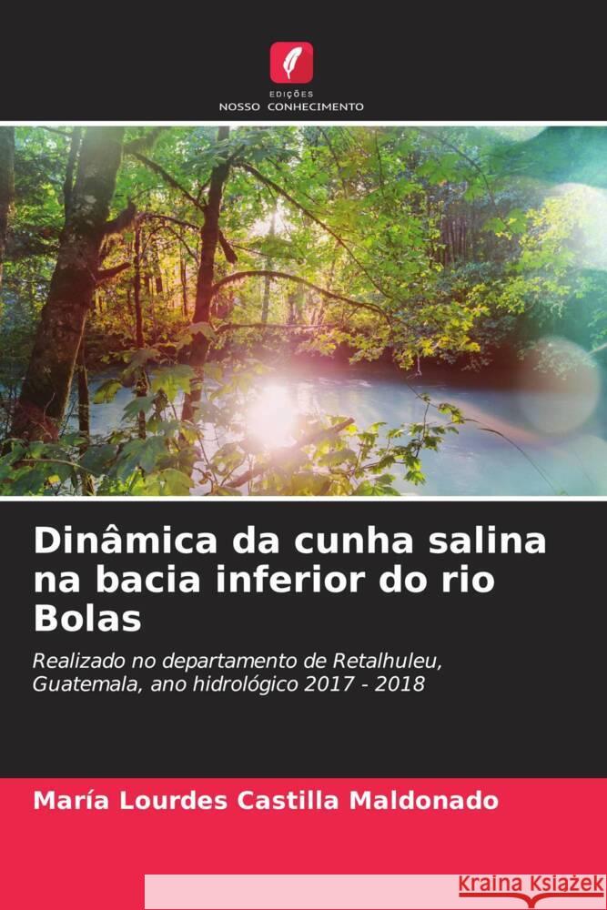 Dinâmica da cunha salina na bacia inferior do rio Bolas Castilla Maldonado, María Lourdes 9786206467823