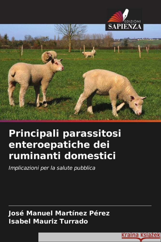 Principali parassitosi enteroepatiche dei ruminanti domestici Martínez Pérez, José Manuel, Mauriz Turrado, Isabel 9786206486671 Edizioni Sapienza