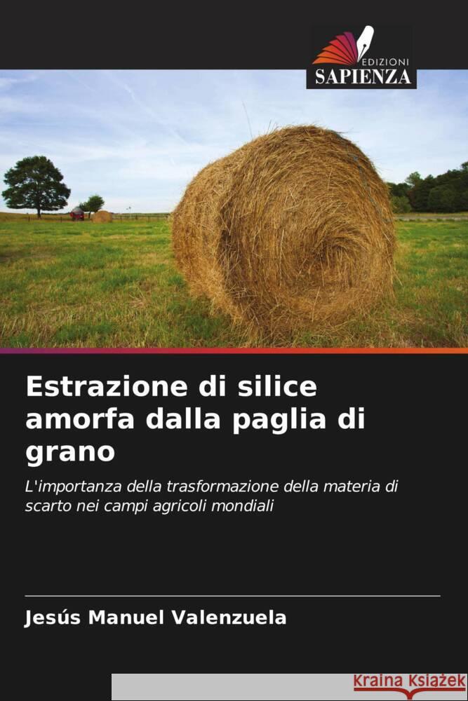 Estrazione di silice amorfa dalla paglia di grano Valenzuela, Jesús Manuel 9786206492955