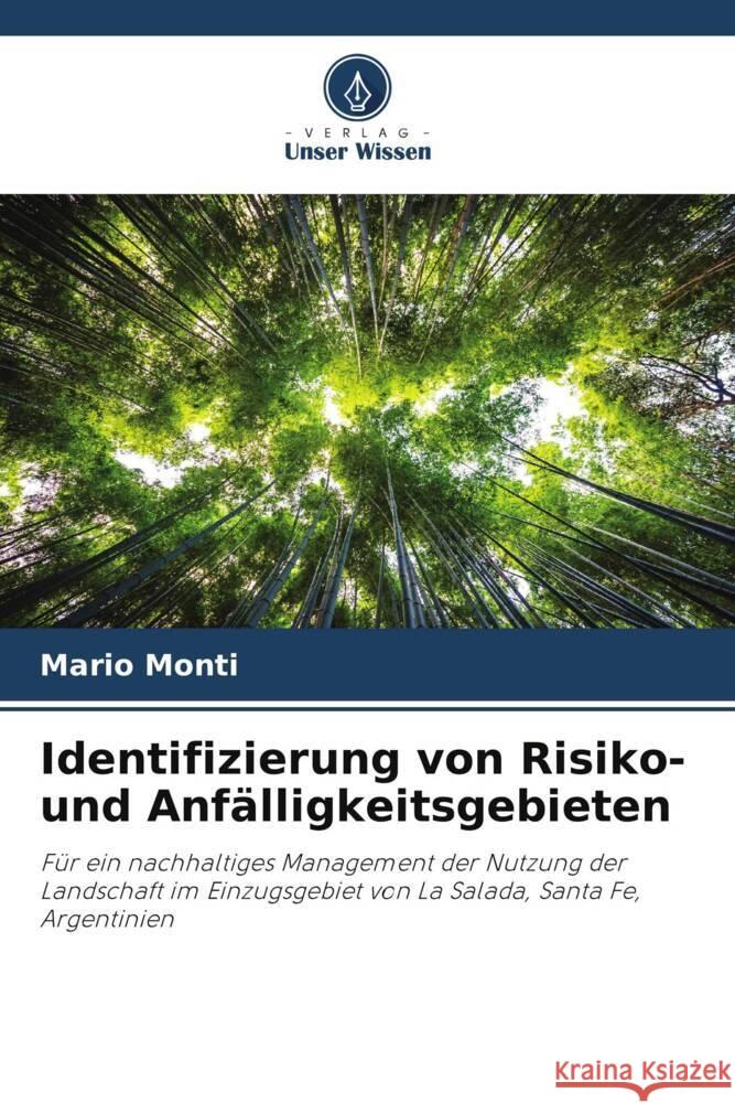 Identifizierung von Risiko- und Anfälligkeitsgebieten Monti, Mario 9786206497943