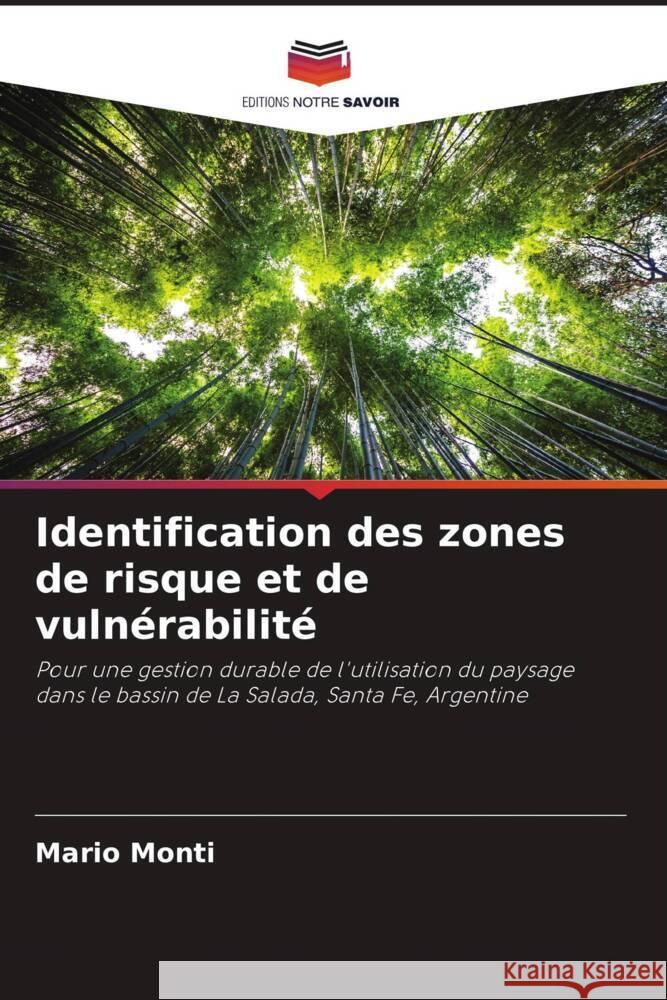 Identification des zones de risque et de vulnérabilité Monti, Mario 9786206497950