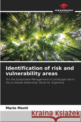 Identification of risk and vulnerability areas Monti, Mario 9786206497967