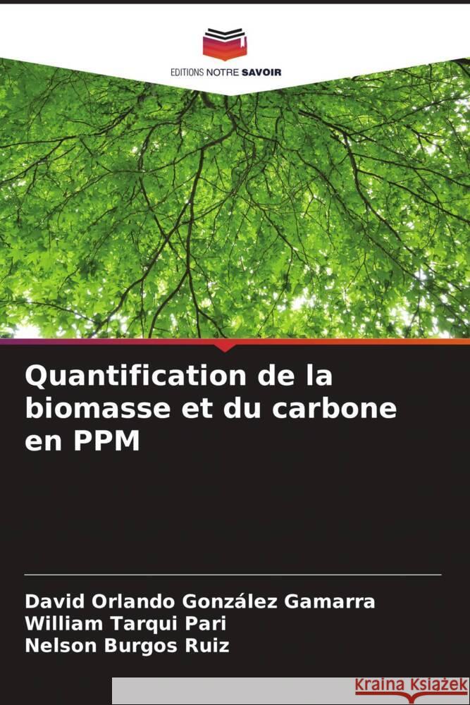 Quantification de la biomasse et du carbone en PPM González Gamarra, David Orlando, Tarqui Pari, William, Burgos Ruiz, Nelson 9786206515807