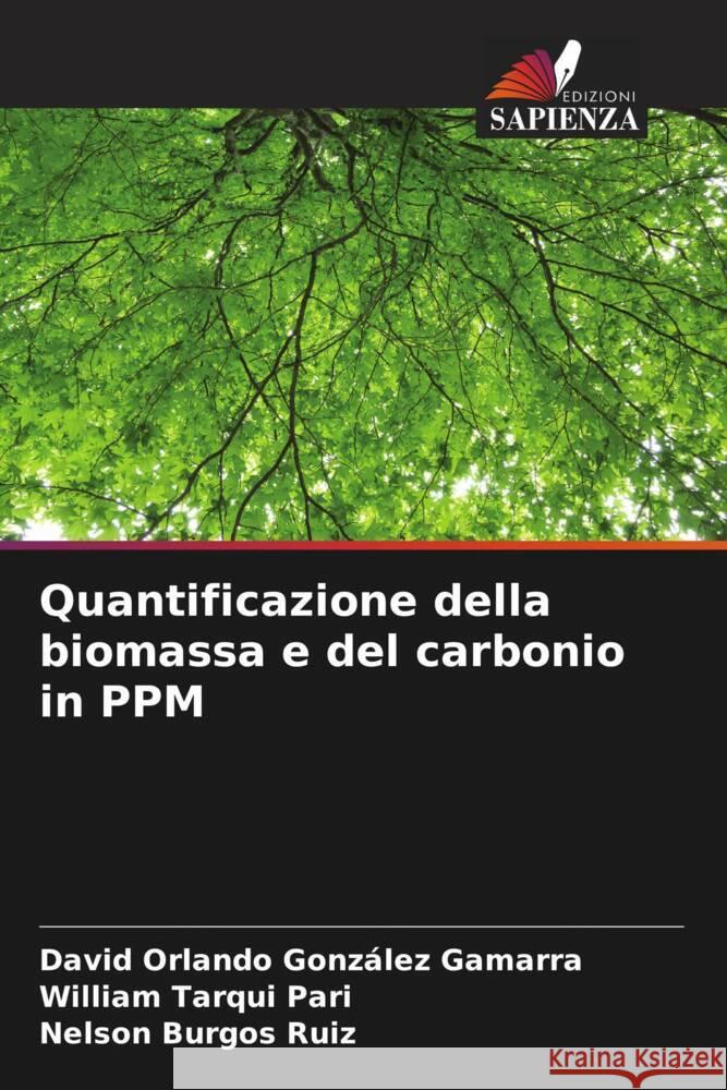 Quantificazione della biomassa e del carbonio in PPM González Gamarra, David Orlando, Tarqui Pari, William, Burgos Ruiz, Nelson 9786206515821