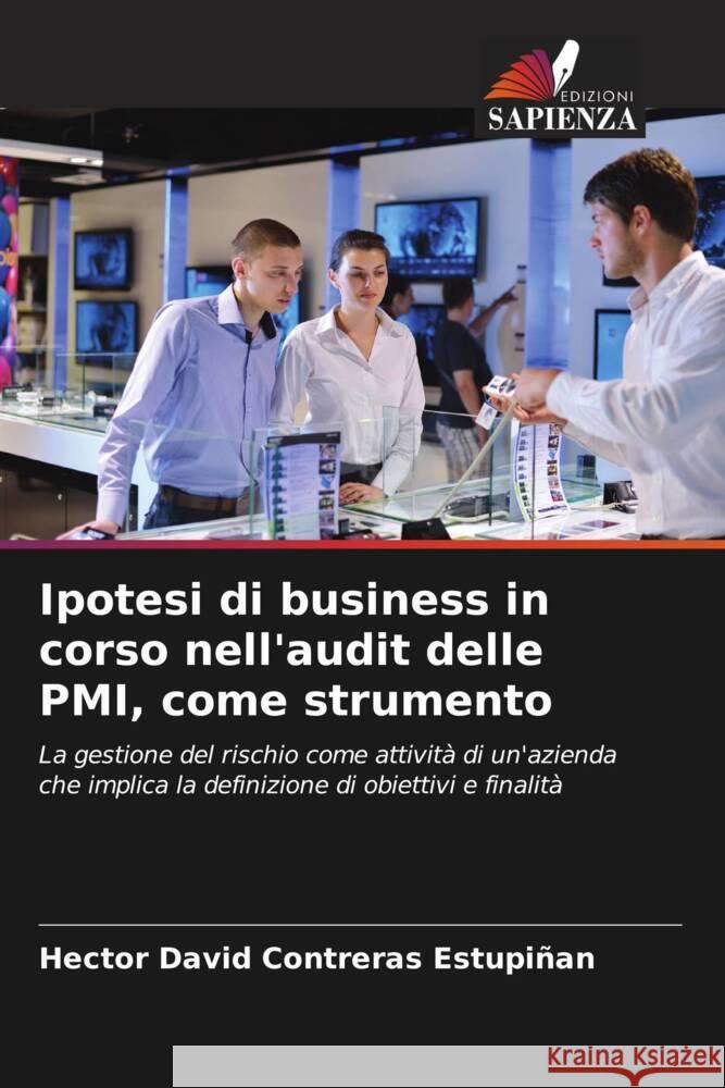 Ipotesi di business in corso nell'audit delle PMI, come strumento Contreras Estupiñan, Hector David 9786206526513