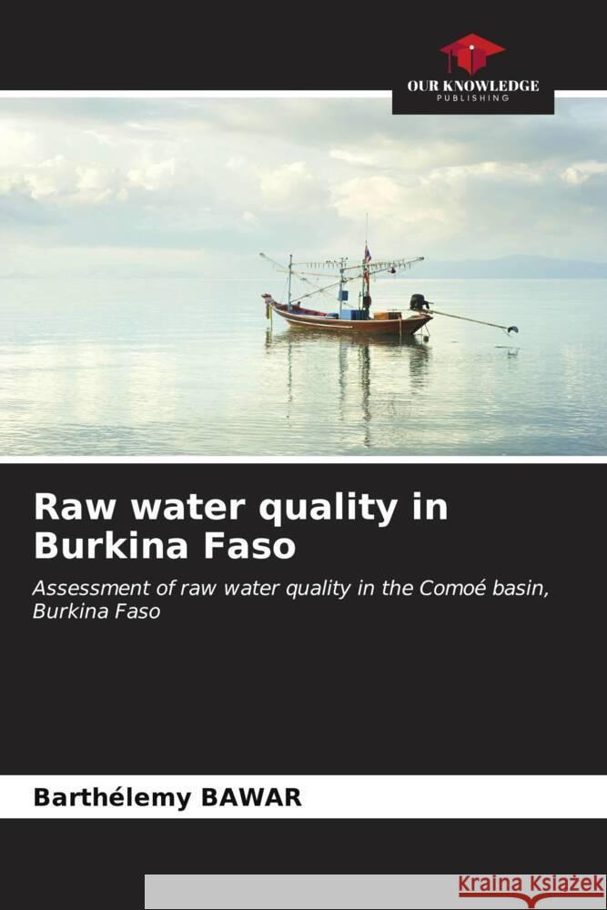 Raw water quality in Burkina Faso Bawar, Barthélemy 9786206532149