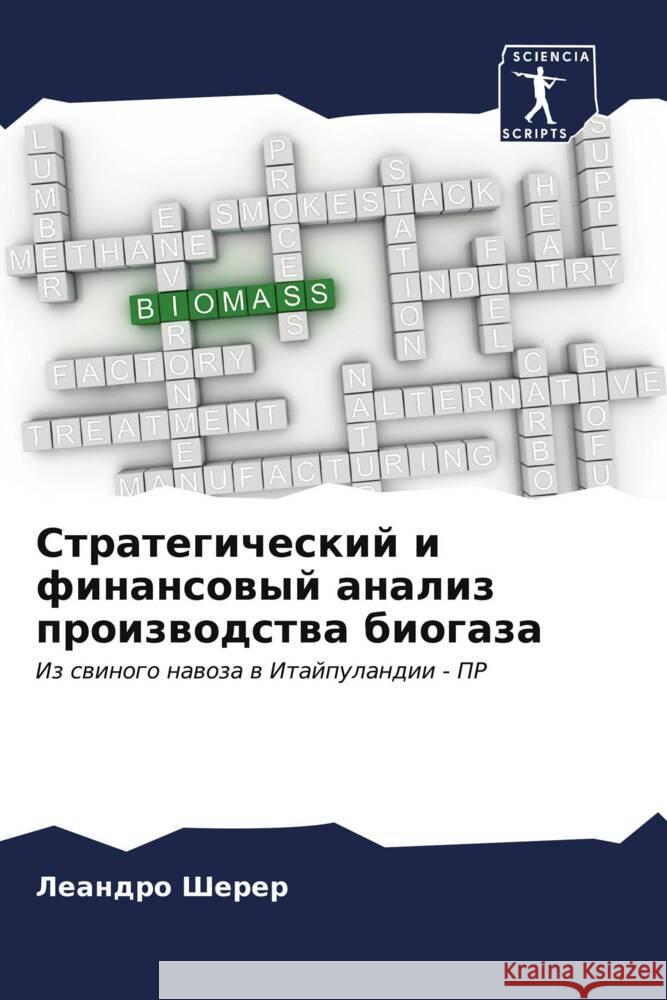 Strategicheskij i finansowyj analiz proizwodstwa biogaza Sherer, Leandro 9786206533030