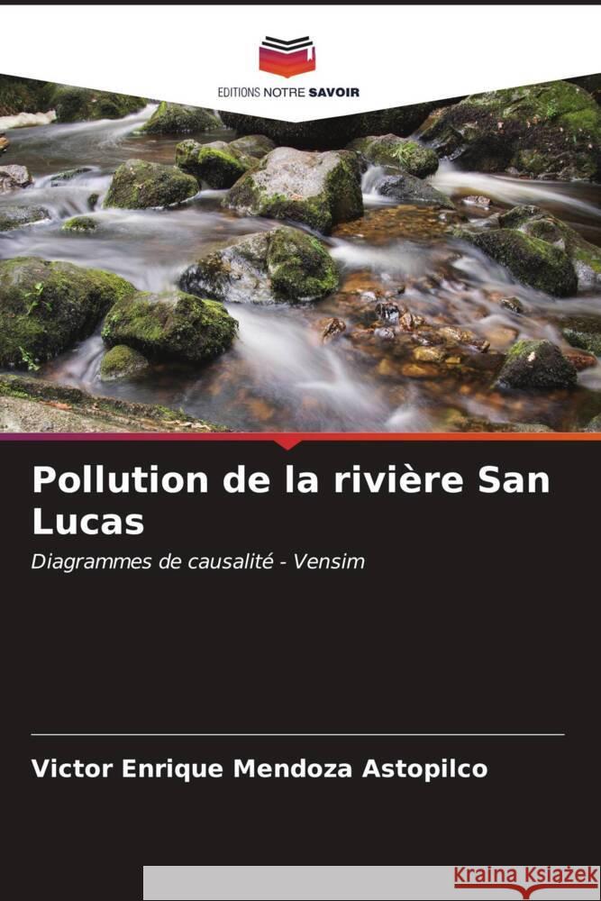 Pollution de la rivière San Lucas Mendoza Astopilco, Victor Enrique 9786206533740