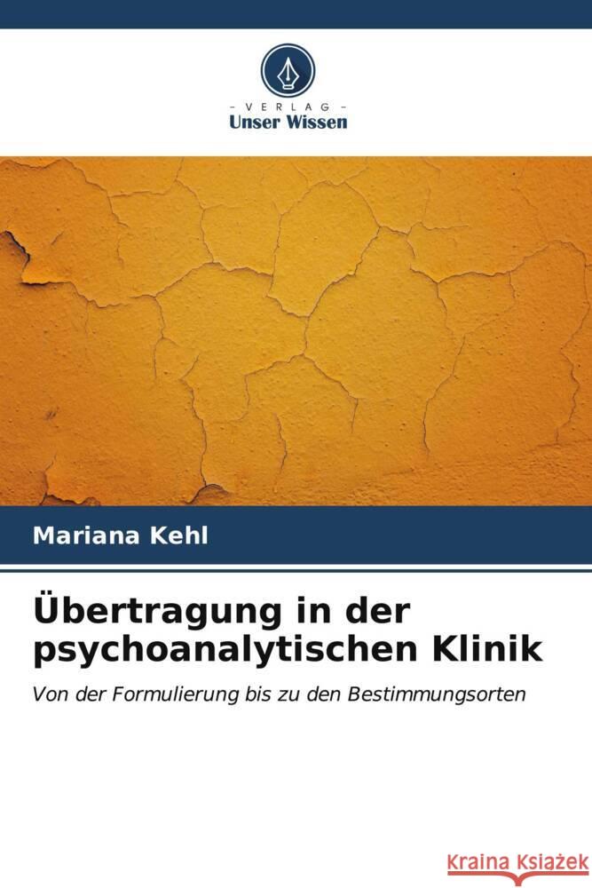 Übertragung in der psychoanalytischen Klinik Kehl, Mariana 9786206561200