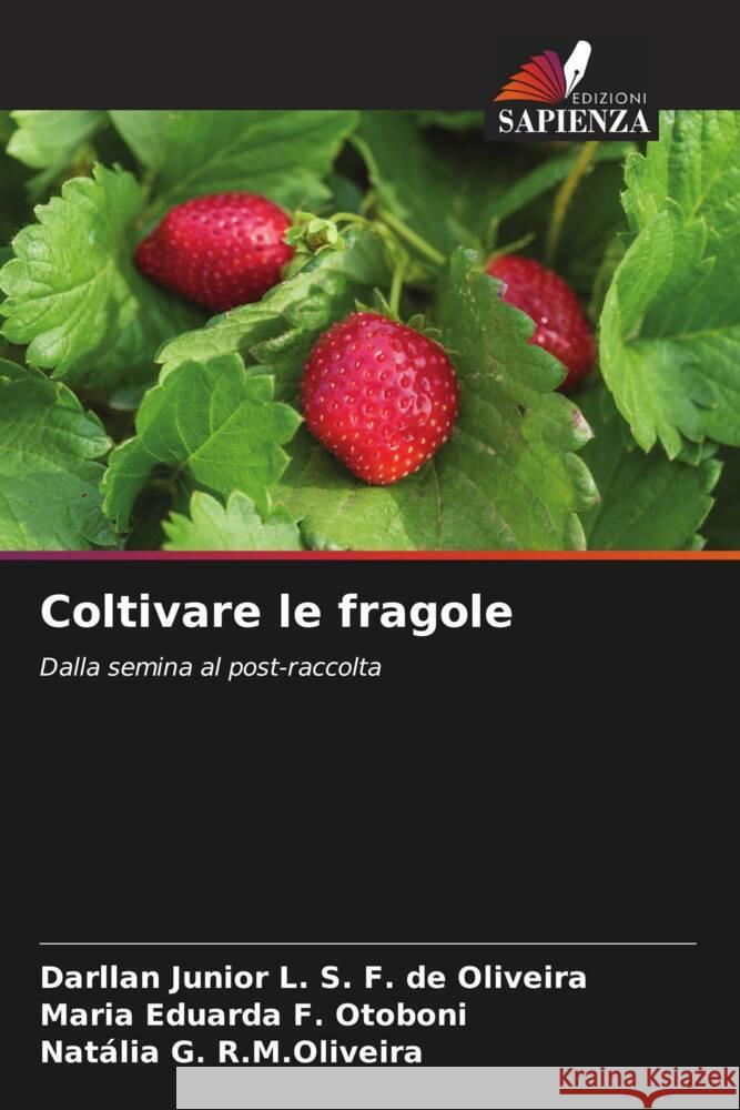 Coltivare le fragole L. S. F. de Oliveira, Darllan Junior, F. Otoboni, Maria Eduarda, R.M.Oliveira, Natália G. 9786206562023 Edizioni Sapienza