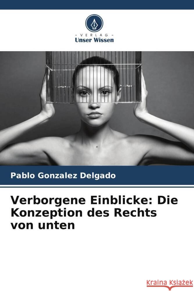 Verborgene Einblicke: Die Konzeption des Rechts von unten Gonzalez Delgado, Pablo 9786206565345