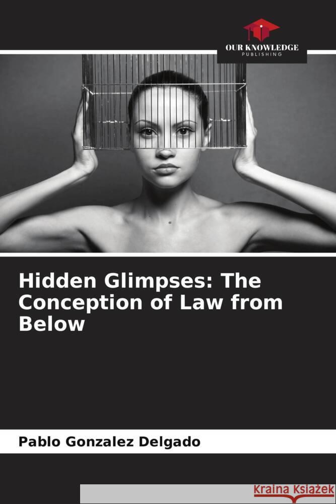 Hidden Glimpses: The Conception of Law from Below Gonzalez Delgado, Pablo 9786206565352