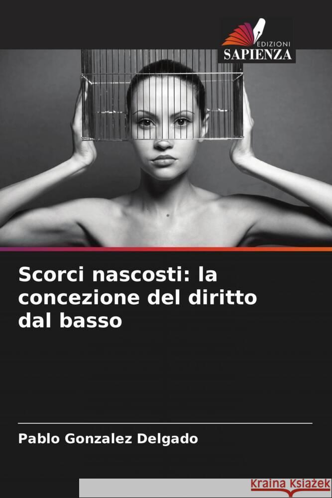 Scorci nascosti: la concezione del diritto dal basso Gonzalez Delgado, Pablo 9786206565376