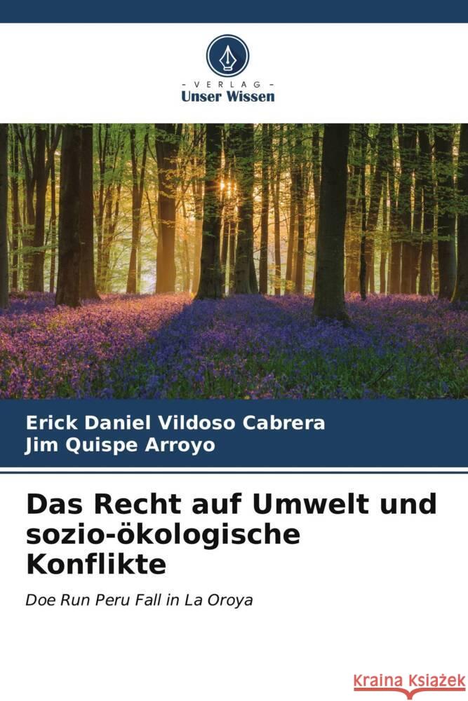 Das Recht auf Umwelt und sozio-ökologische Konflikte Vildoso Cabrera, Erick Daniel, Quispe Arroyo, Jim 9786206571704