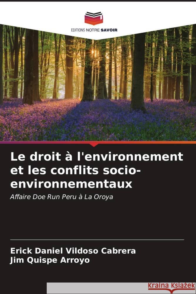 Le droit à l'environnement et les conflits socio-environnementaux Vildoso Cabrera, Erick Daniel, Quispe Arroyo, Jim 9786206571728