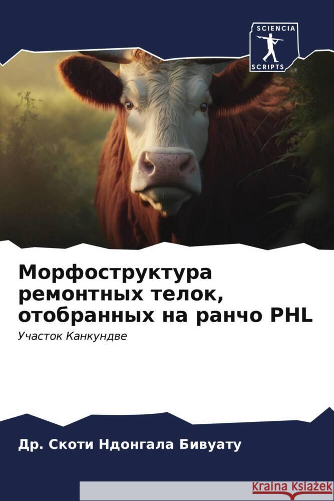 Морфоструктура ремонтн&# Ндонгk 9786206579755 Sciencia Scripts
