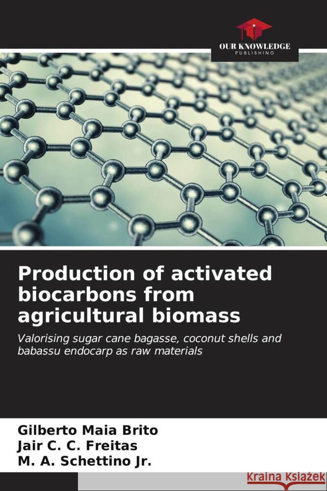 Production of activated biocarbons from agricultural biomass Maia Brito, Gilberto, C. C. Freitas, Jair, Schettino, M. A. 9786206591252 Our Knowledge Publishing