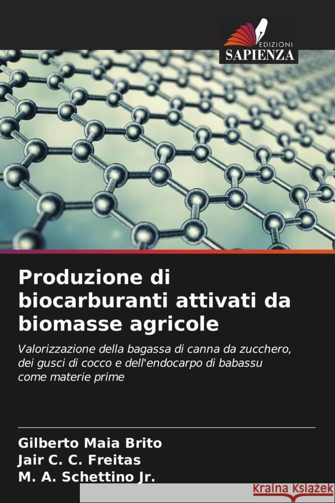 Produzione di biocarburanti attivati da biomasse agricole Maia Brito, Gilberto, C. C. Freitas, Jair, Schettino, M. A. 9786206591429 Edizioni Sapienza