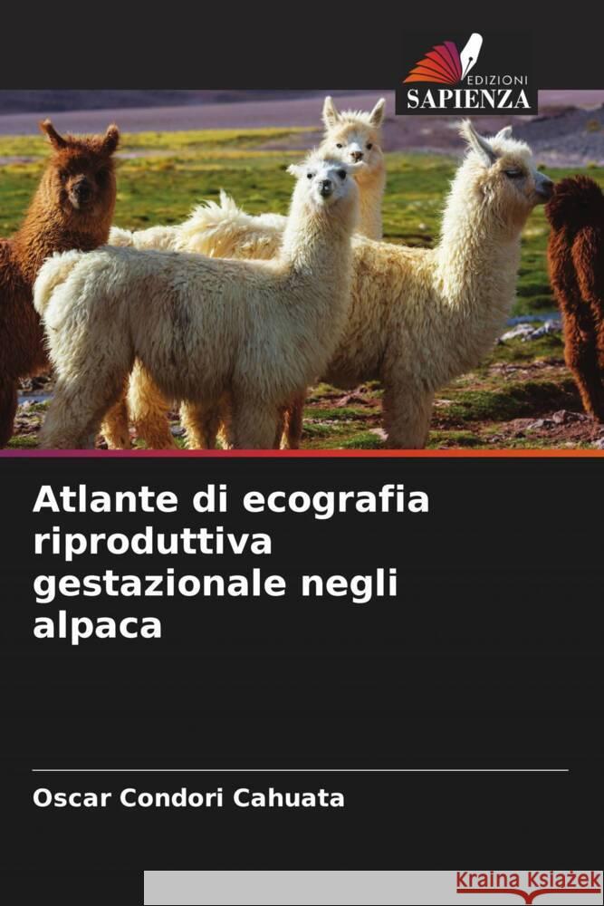 Atlante di ecografia riproduttiva gestazionale negli alpaca Oscar Condor 9786206591542