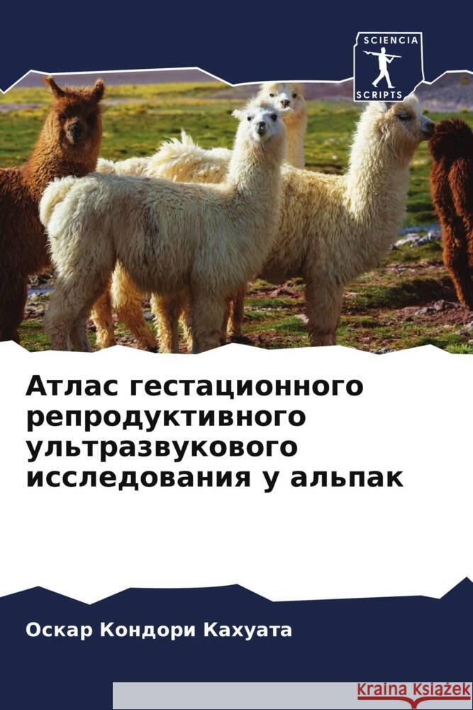 Атлас гестационного реп& Кондоl 9786206591566 Sciencia Scripts