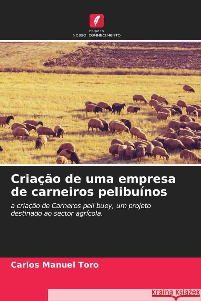 Criação de uma empresa de carneiros pelibuínos Toro, Carlos Manuel 9786206602552