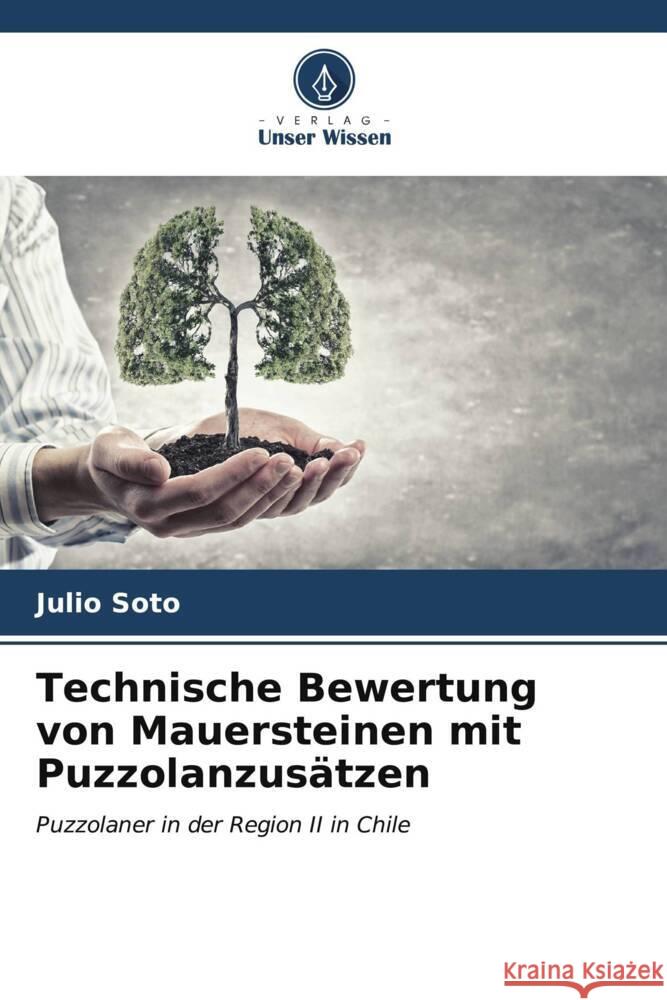 Technische Bewertung von Mauersteinen mit Puzzolanzusätzen Soto, Julio 9786206630203