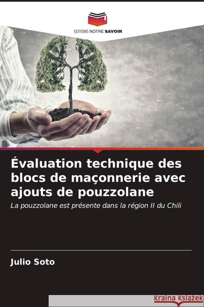 Évaluation technique des blocs de maçonnerie avec ajouts de pouzzolane Soto, Julio 9786206630265