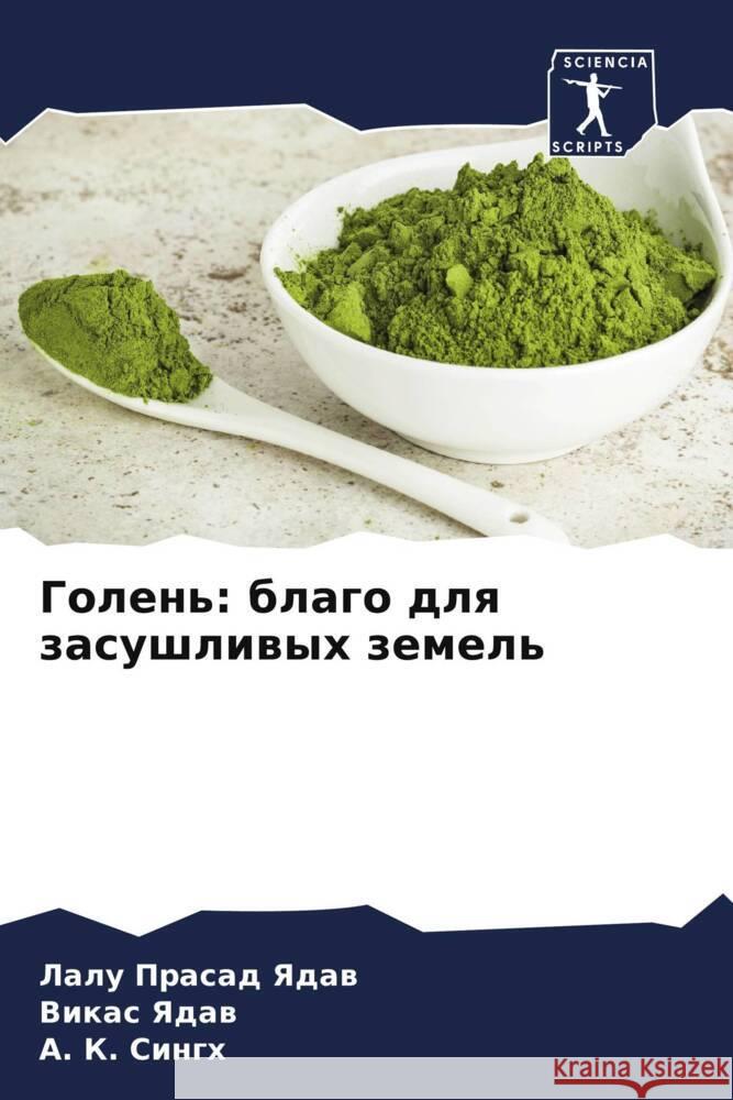 Голень: благо для засушли Л Ядав В Ядав  Сингх 9786206633907 Sciencia Scripts