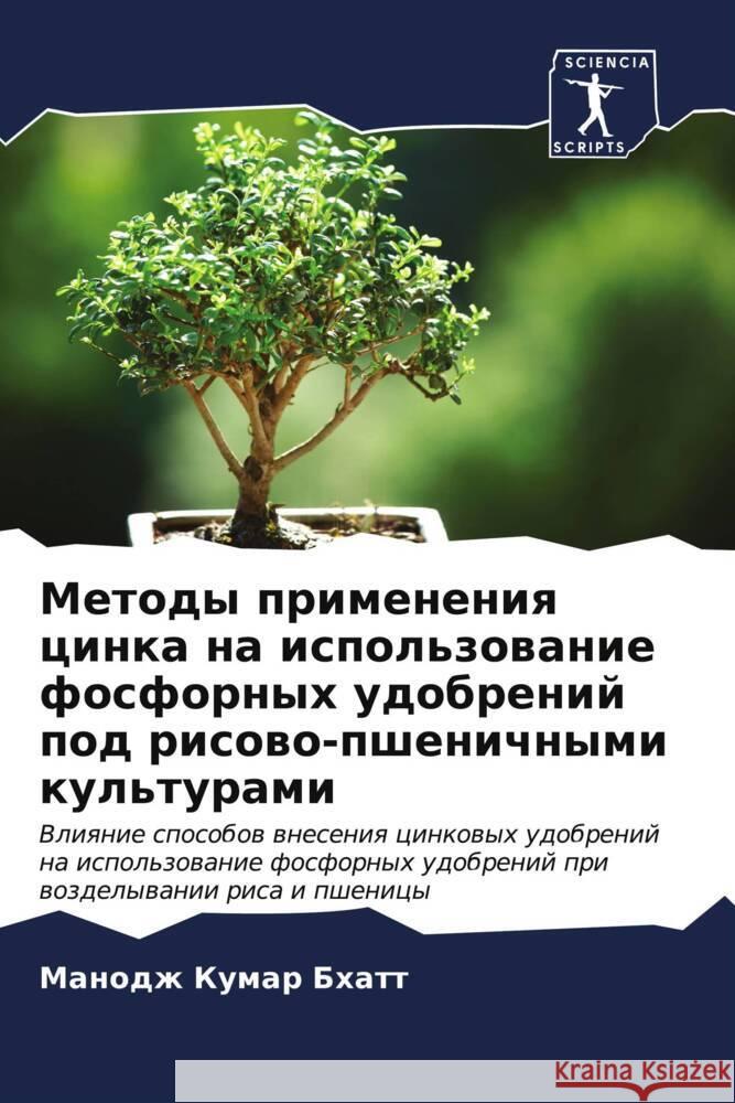 Методы применения цинка  Бхатт 9786206638230 Sciencia Scripts
