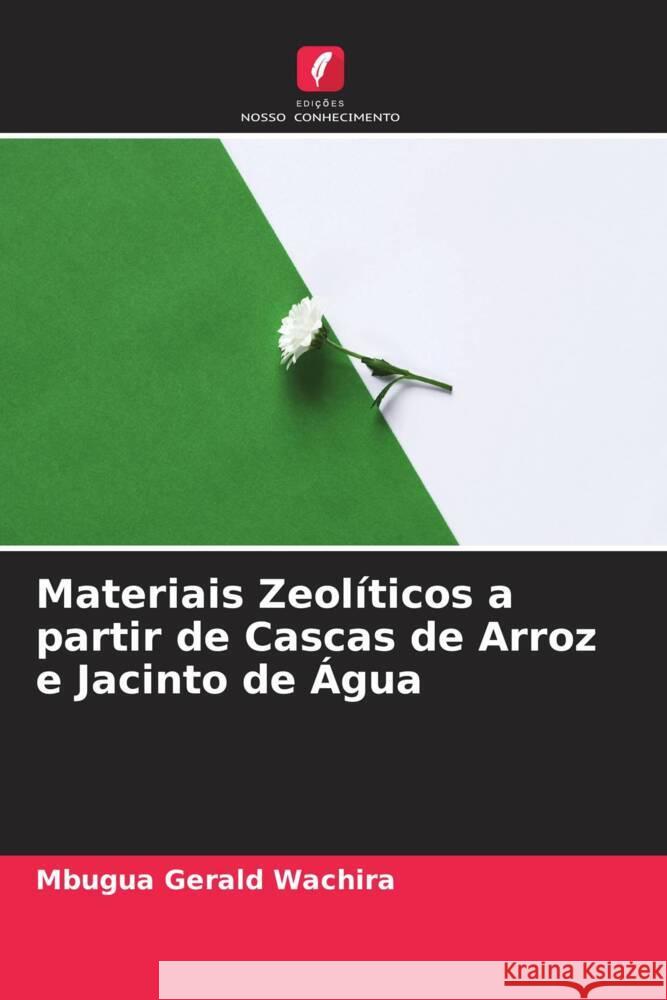 Materiais Zeol?ticos a partir de Cascas de Arroz e Jacinto de ?gua Mbugua Geral 9786206646679